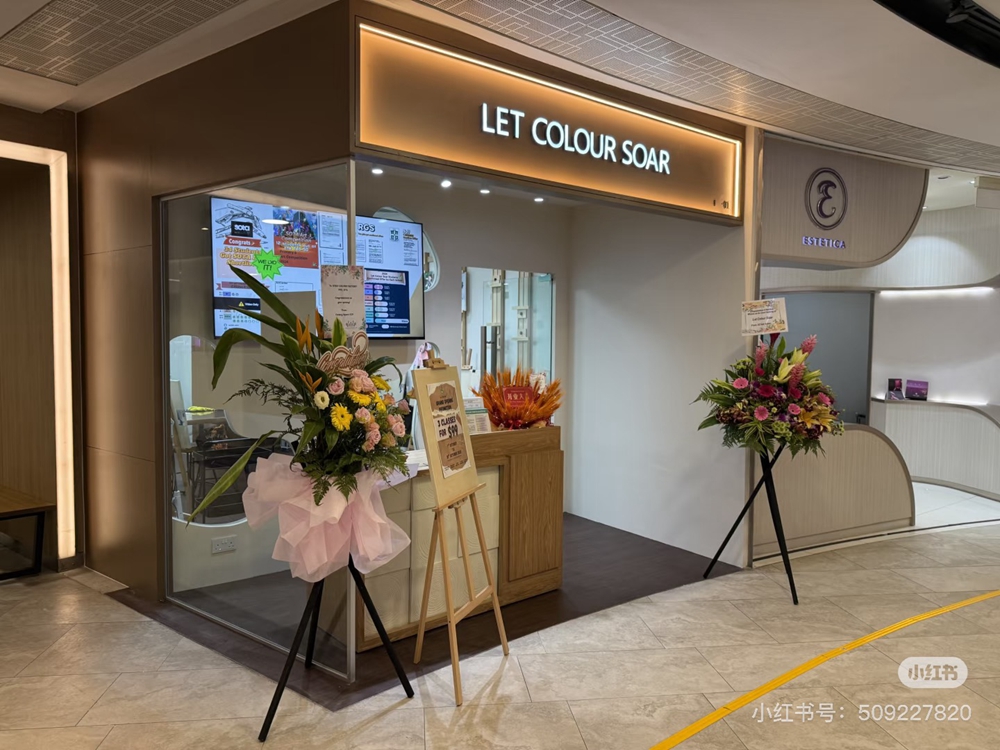 Let Colour Soar community update 230
