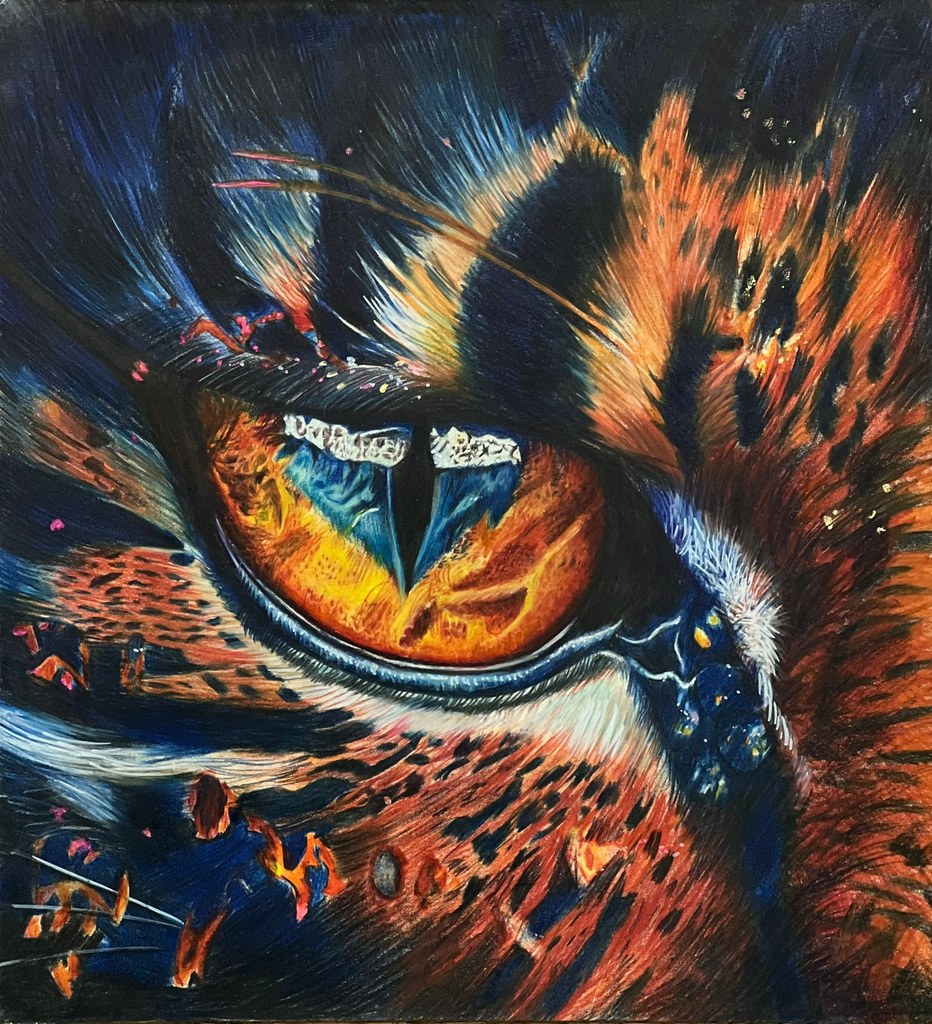 DSA · Sketching & colour pencil 1