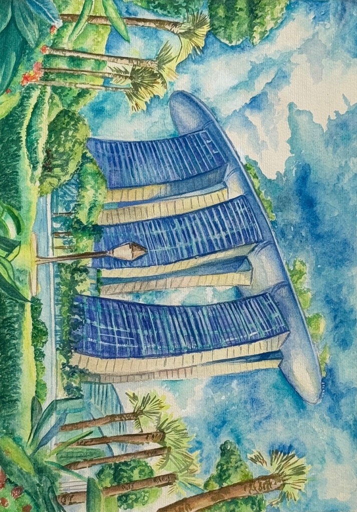 DSA · Watercolour & markers 2