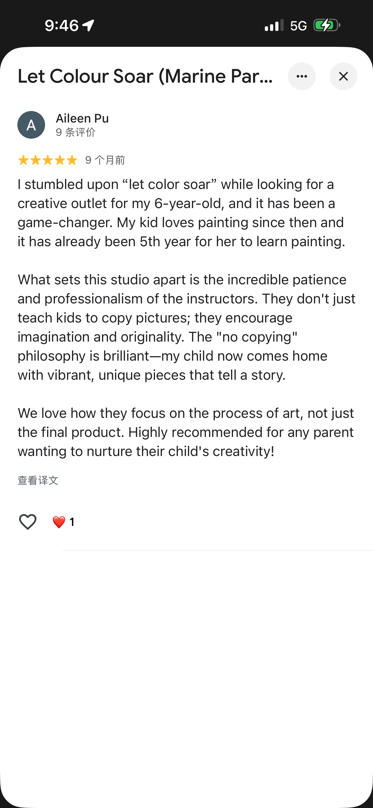 Aileen Pu original Google review preview